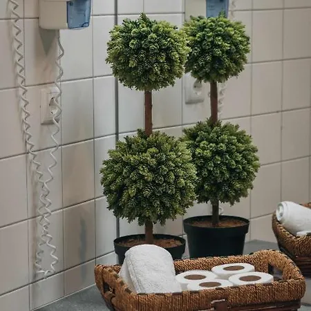 Casa Do Parque - Casa Familiar * Nordeste (Azores)