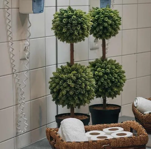 Casa Do Parque - Casa Familiar * Nordeste (Azores)